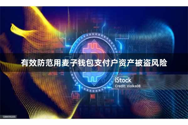 有效防范用麦子钱包支付户资产被盗风险